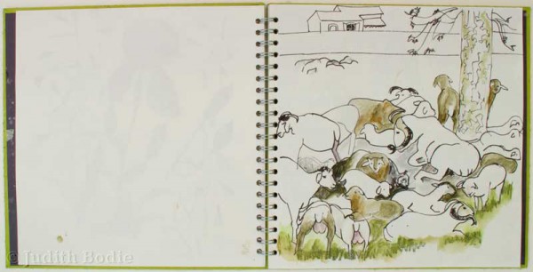Sheep in France